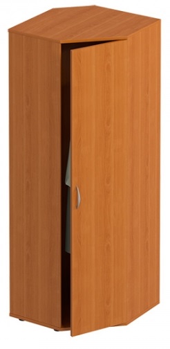 Картинка Офисные шкафы Шкаф угловой для одежды  ФР 344